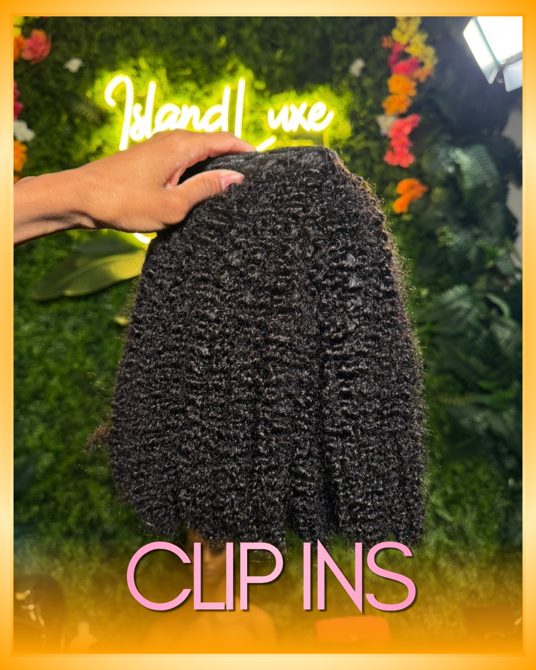 Clip Ins