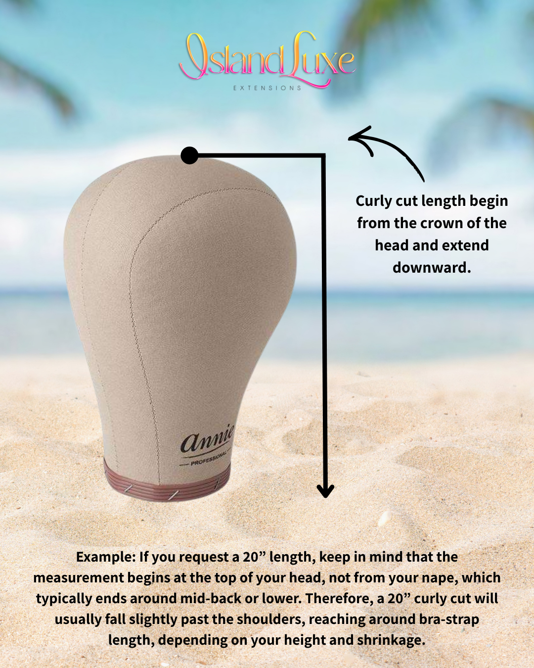 Afro Coily - Curly Cut Premade Wig (PREORDER)