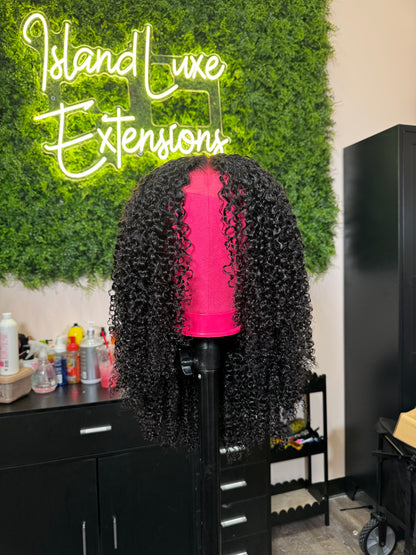 Kinky Curly - Customized Premade Lace wig (RTS)
